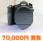 SONY DSC-RX10M4