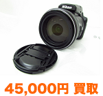 ニコン P1000